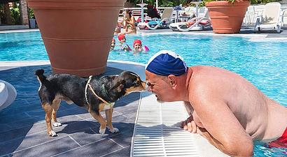 Struttura Hotel La Praia 