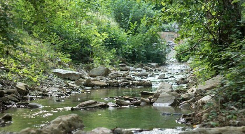 Agriturismo AZ.AGRICOLA  SAN DOMENICO