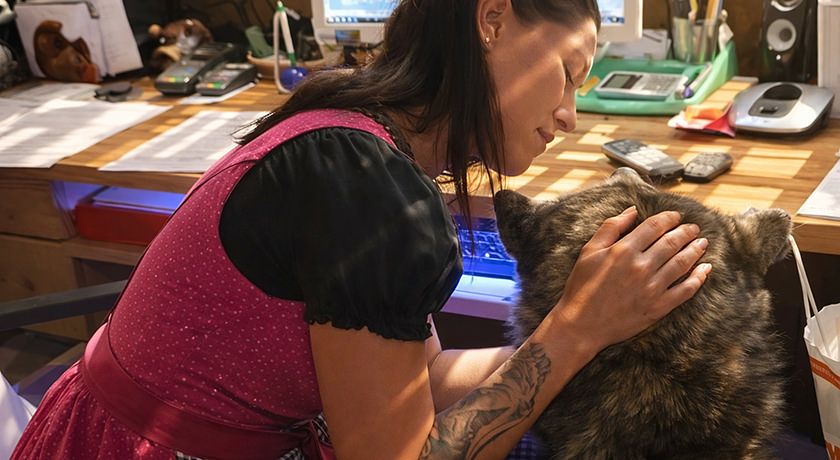 alpine touring hotel