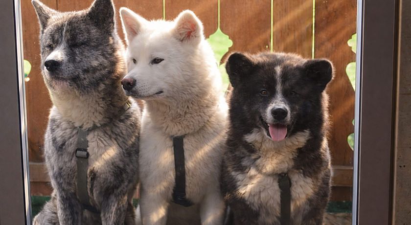 alpine touring hotel