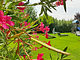 Il Giardino di Rebecca