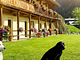 Chalet du Lys Hotel & SPA