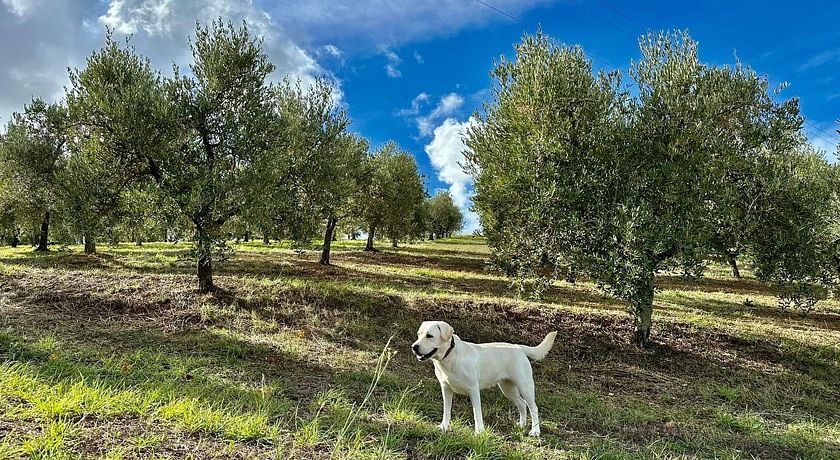 Agriturismo RTA Costa Etrusca 