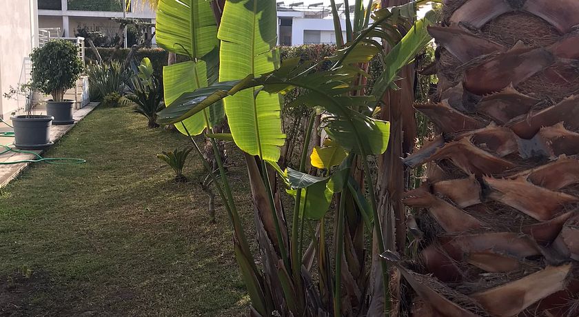 ZampAmare 