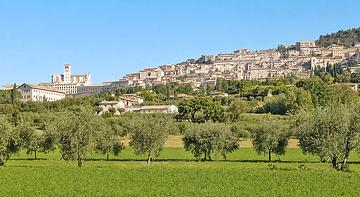 Agriturismo Giardino degli Olivi di Elisei Claudio