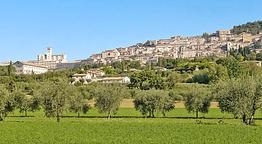 Agriturismo Giardino degli Olivi di Elisei Claudio
