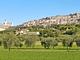 Agriturismo Giardino degli Olivi di Elisei Claudio