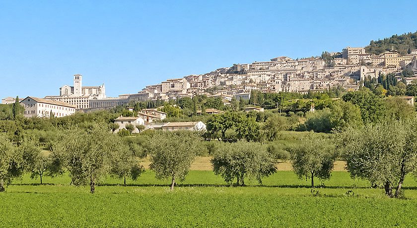 Agriturismo Giardino degli Olivi di Elisei Claudio