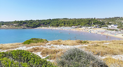 Struttura Residence Molinella