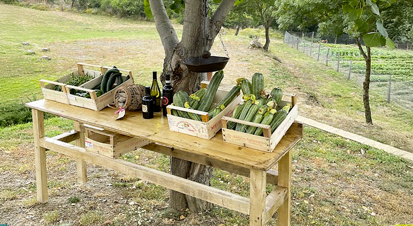 Tenuta San Lodovico (Glamping)