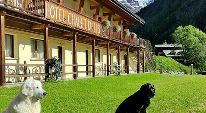 Struttura Chalet du Lys Hotel & SPA