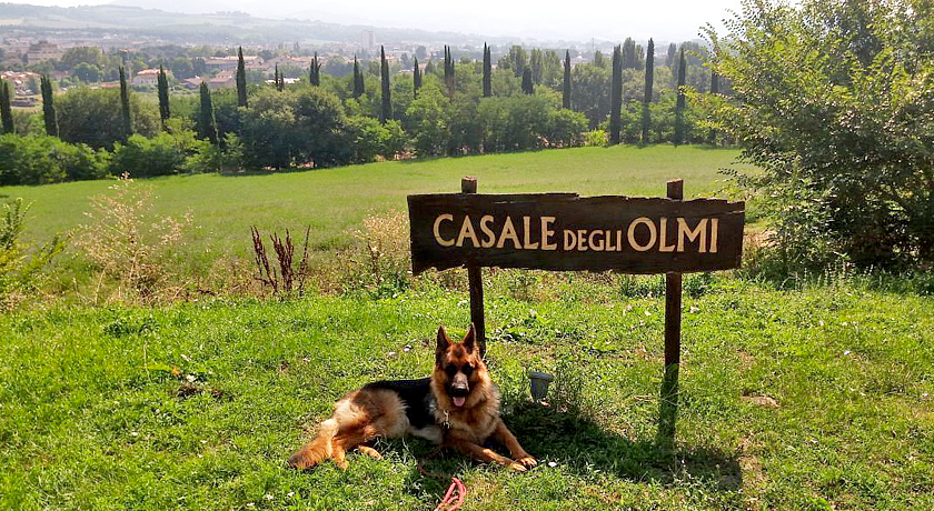 Casale degli Olmi