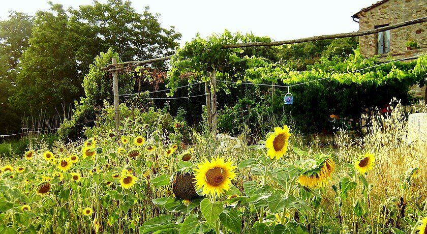 Agriturismo AZ.AGRICOLA  SAN DOMENICO