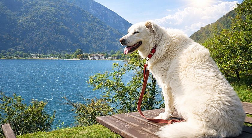 Camping al lago Ledro