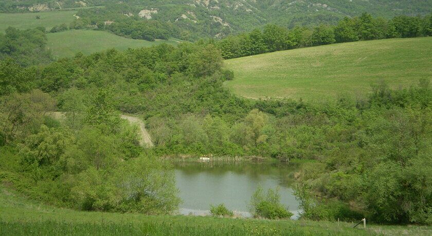 Agriturismo AZ.AGRICOLA  SAN DOMENICO