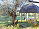 Cottage immerso nella campagna toscana