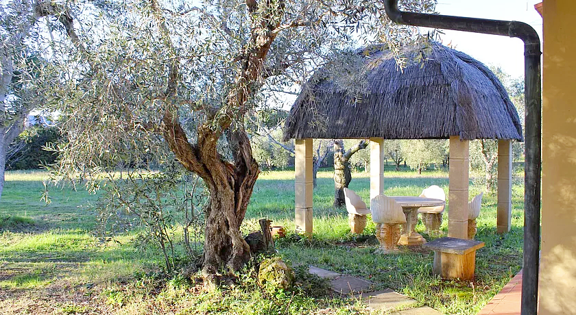 Cottage immerso nella campagna toscana