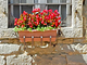 Fattoria Il Praticino