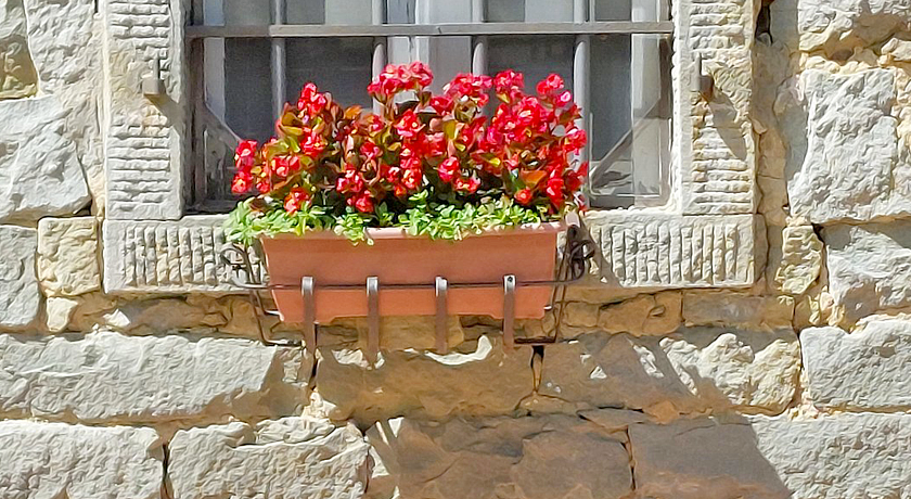 Fattoria Il Praticino