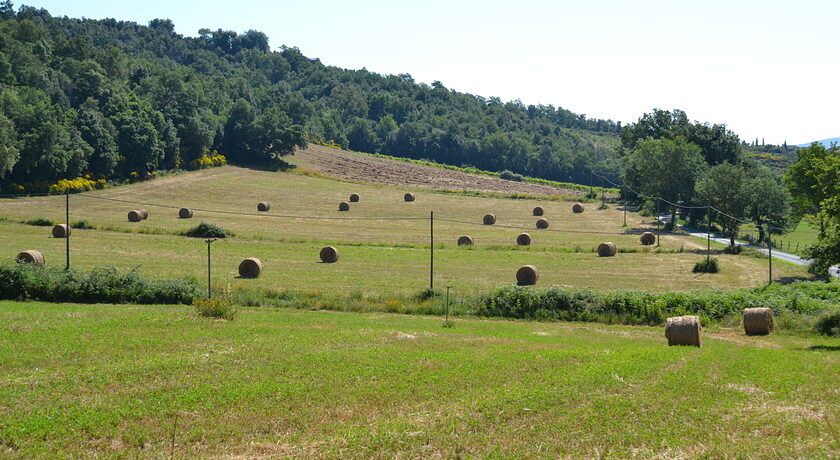 FATTORIA IL SANTO
