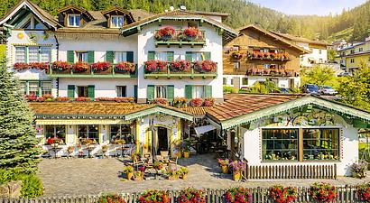 Struttura Hotel Piedibosco 