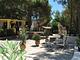 Camping Village Baia Falcone