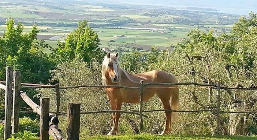 Agriturismo Il Pausillo