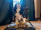 CasaBella 22 bed and breakfast- wellness for human and dogs