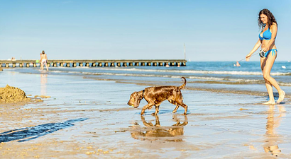 Struttura Hotel Residence Mara