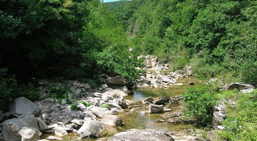 FATTORIA IL SANTO