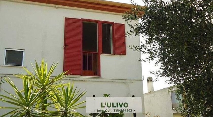 L'ULIVO