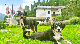 Hotel Piedibosco 