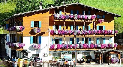 Struttura Albergo Genzianella