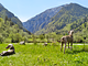 Eco-Baita Natura Spensierata