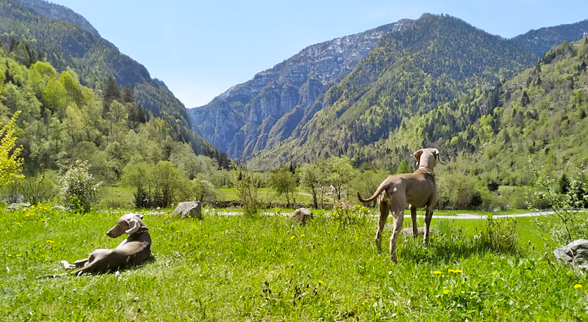 Eco-Baita Natura Spensierata