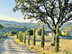 Tenuta San Lodovico (Glamping)