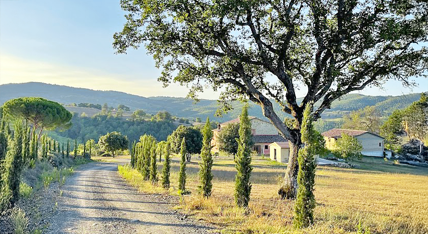 Tenuta San Lodovico (Glamping)