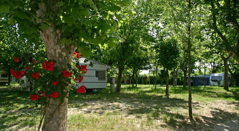 Villaggio Camping delle Rose