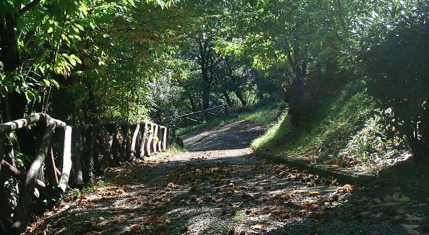 Agriturismo Golfo dei Poeti, fattorie Bedogni von Berger