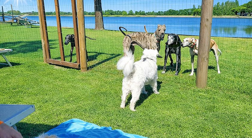 Club Village & Hotel Spiaggia Romea