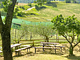Agriturismo San Lorenzo
