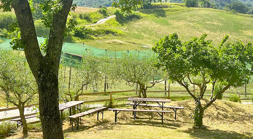 Agriturismo San Lorenzo