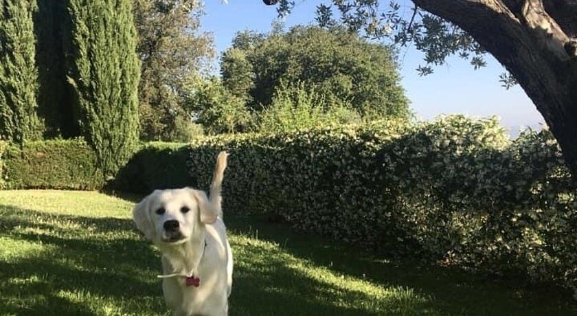 Casa Vacanze Bicchi 