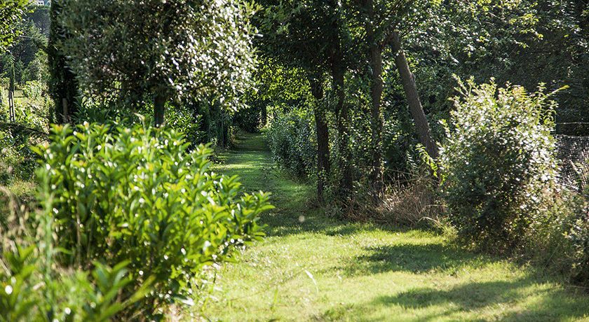 AGRITURISMO SASSO ROSSO