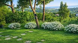 Casa delle margherite