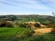 Fattoria Fontegeloni - Agriturismo e Az. Agr. Biologica 