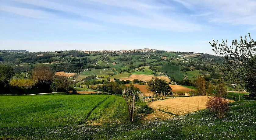 Fattoria Fontegeloni - Agriturismo e Az. Agr. Biologica