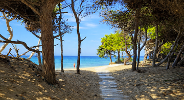 Luminoso Trullo salentino in uliveto