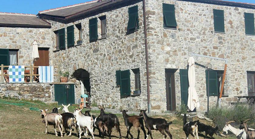 Agriturismo degli Olivi