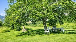 B&B La Collina degli Ulivi 